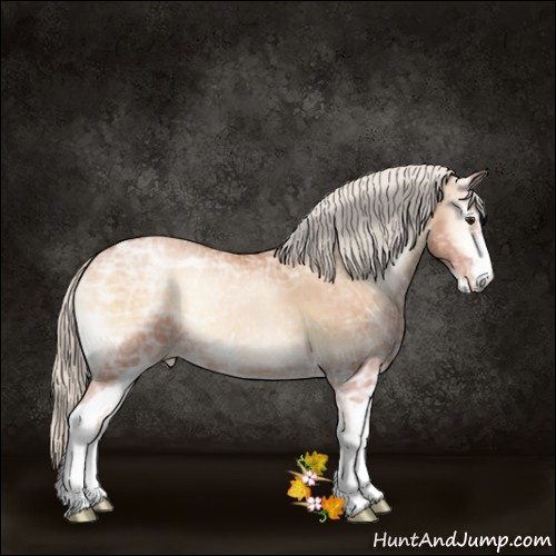 Horse Color:Silver Bay Ice Pearl Onyx Sabino 