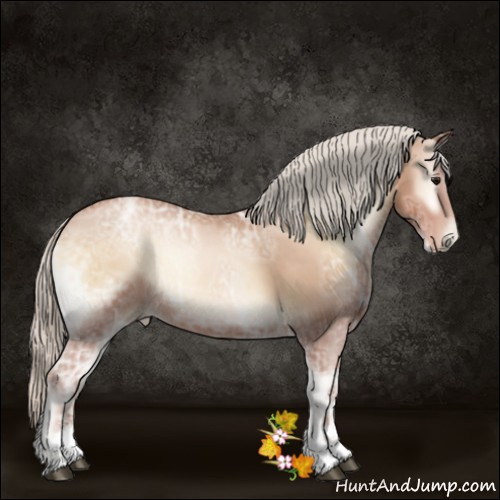 Horse Color:Silver Blue Onyx Ice Pearl Sabino 