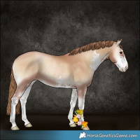 Horse Color:Blue Onyx Pearl Sabino 
