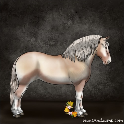 Horse Color:Silver Blue Onyx Pearl Sabino 