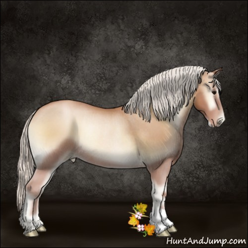 Horse Color:Silver Blue Onyx Pearl Rabicano 