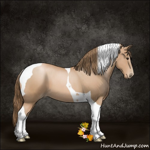 Horse Color:Black Pearl Tobiano 