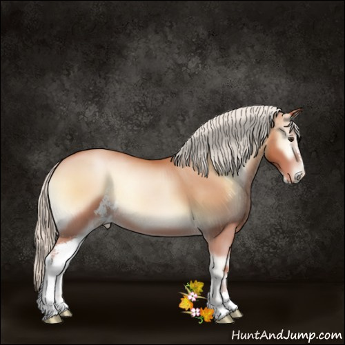 Horse Color:Silver Bay Pearl Onyx Sabino 