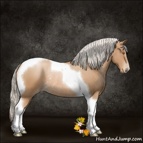 Horse Color:Silver Black Pearl Tobiano Rabicano 