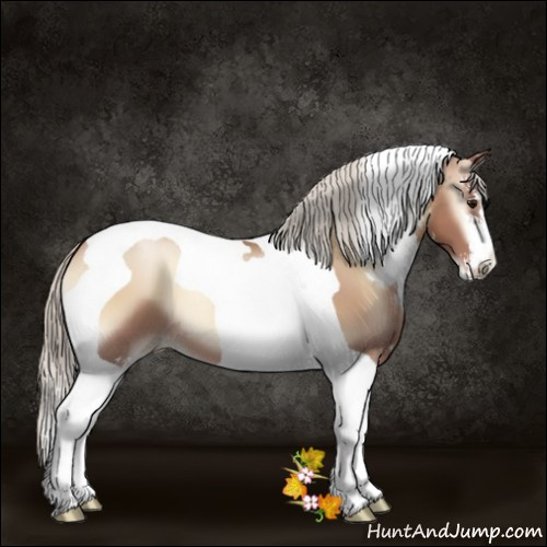 Horse Color:Silver Blue Onyx Pearl Sabino Tobiano 