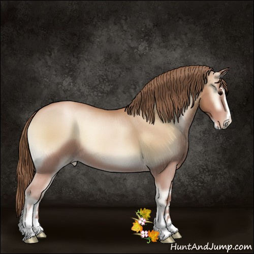Horse Color:Blue Onyx Pearl Sabino 