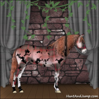 Horse Color:Void Plaid  White Spotted Liver Red Onyx 