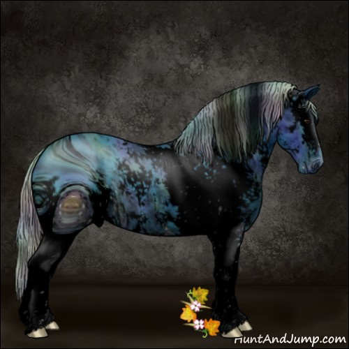 Horse Color:ERROR: UNKNOWN ANOMALY