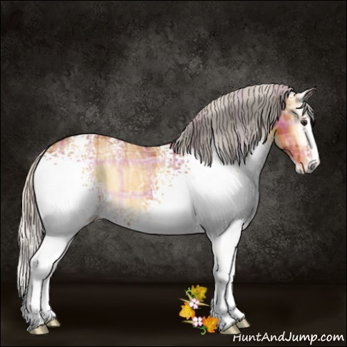 Horse Color:Plaid  White Spotted Silver Buckskin Ice Onyx 