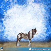 Horse Color:White Spotted Chocolate Brown Ice Onyx Sabino Rabicano 