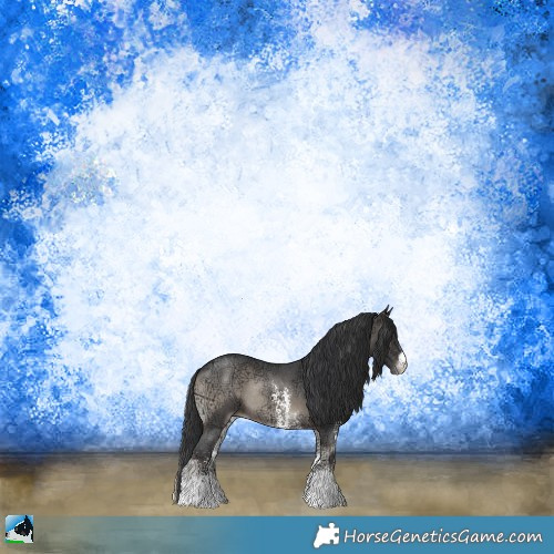 Horse Color:Blue Onyx Ice Sabino Rabicano 