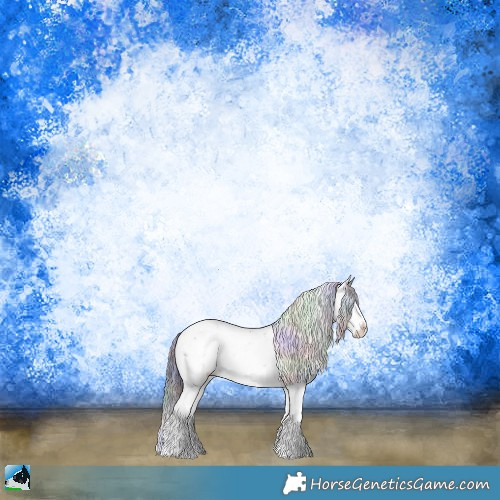 Horse Color:Nacre Black Ice Sabino Rabicano