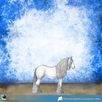 Horse Color:Nacre Black Ice Sabino Rabicano