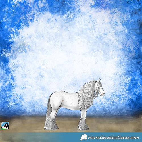 Horse Color:Brown Sabino Rabicano 