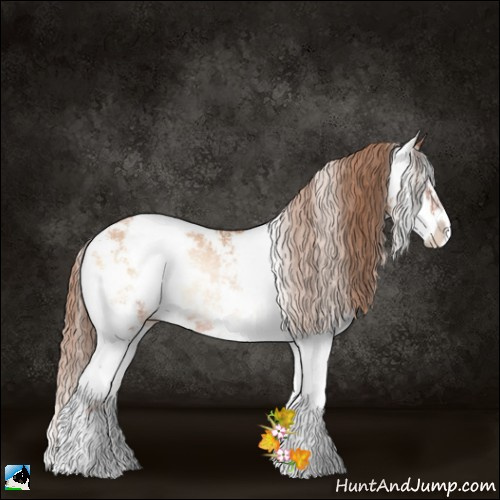 Horse Color:Bay Pearl Onyx Sabino Rabicano 