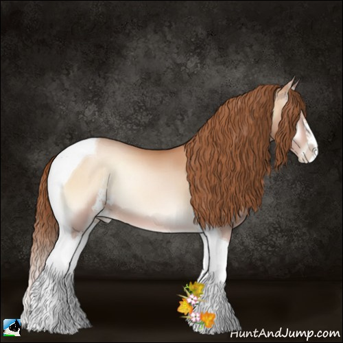 Horse Color:Bay Pearl Onyx Sabino Tobiano 