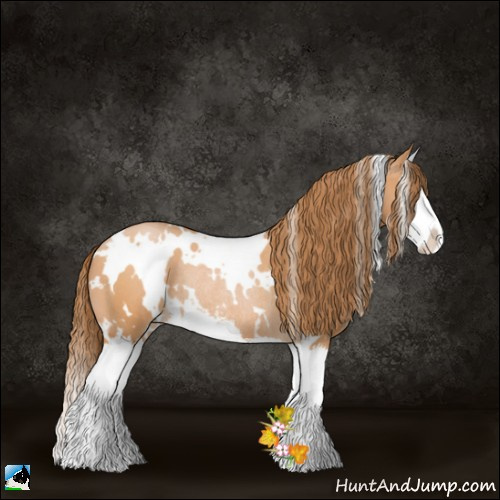 Horse Color:White Spotted Bay Pearl Sabino Splash Rabicano 