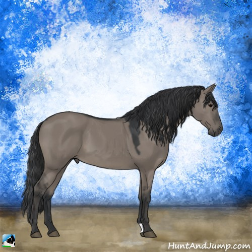 Horse Color:Grullo 