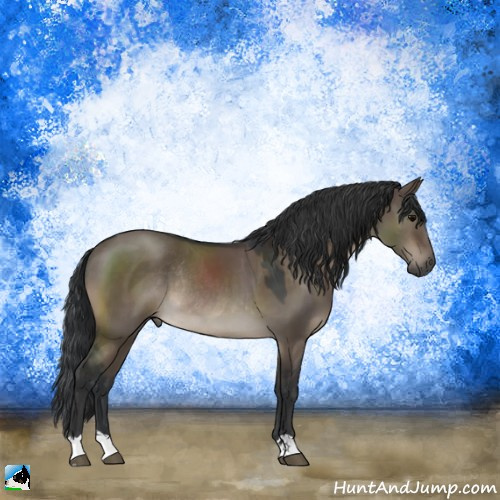 Horse Color:Brown Dun Rabicano 