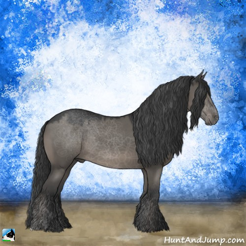 Horse Color:Grullo 