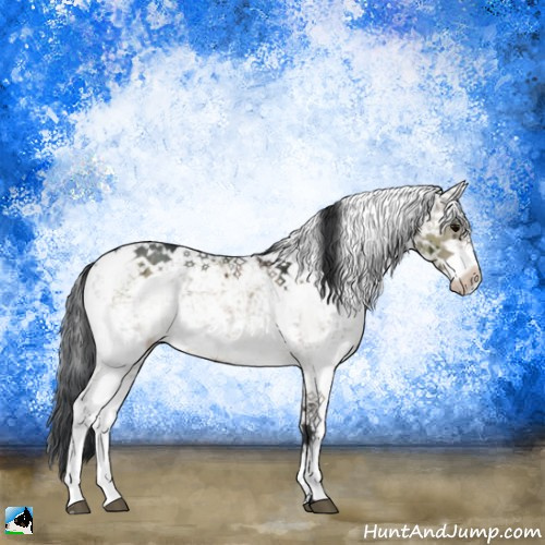 Horse Color:Brown Dun Sabino Brindle 