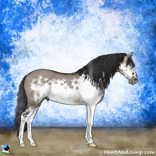 Horse Color:Brown Dun Mushroom Splash Frame Rabicano 