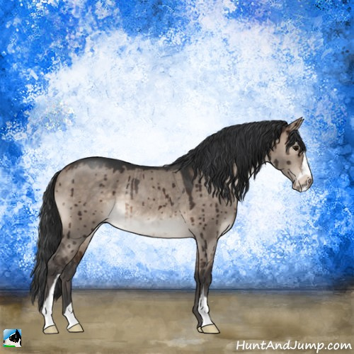 Horse Color:Brown Dun Mushroom Sabino Rabicano Brindle