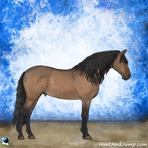 Horse Color:Brown Dun Rabicano 
