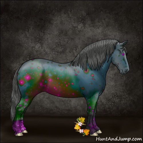 Horse Color:ERROR: UNKNOWN ANOMALY