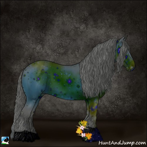 Horse Color:ERROR: UNKNOWN ANOMALY