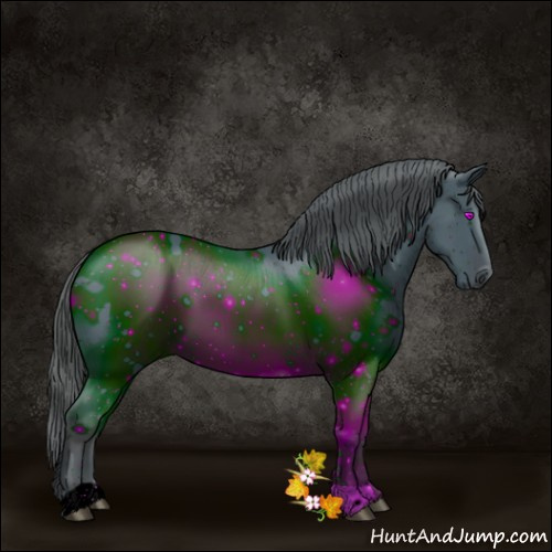 Horse Color:ERROR: UNKNOWN ANOMALY