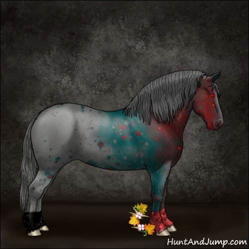 Horse Color:ERROR: UNKNOWN ANOMALY