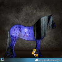 Horse Color:ERROR: UNKNOWN ANOMALY