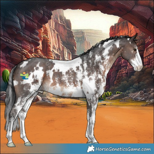 Horse Color:White Spotted Brown Sabino 