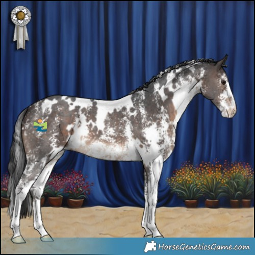 Horse Color:White Spotted Brown Sabino 