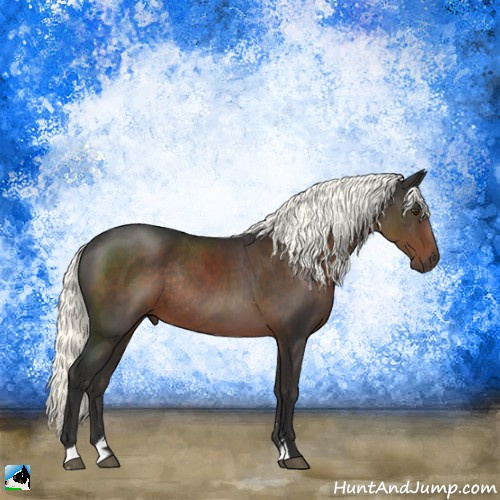 Horse Color:Liver Chestnut Mushroom Sabino Rabicano 