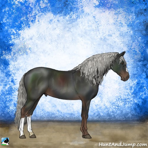 Horse Color:Liver Chestnut Mushroom 