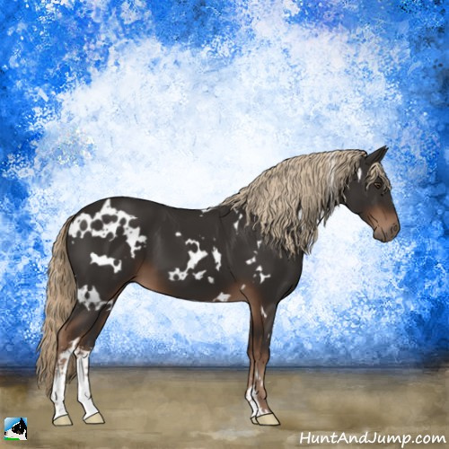 Horse Color:White Spotted Liver Chestnut Sabino 