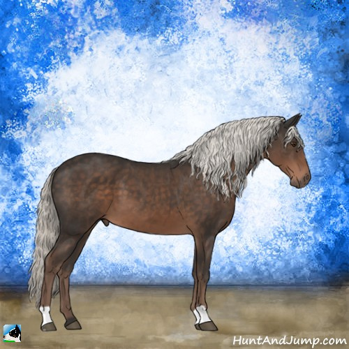 Horse Color:Liver Chestnut Mushroom 