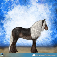 Horse Color:Liver Chestnut Ice Mushroom Rabicano 