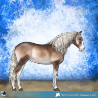 Horse Color:Liver Red Onyx Mushroom Sabino 