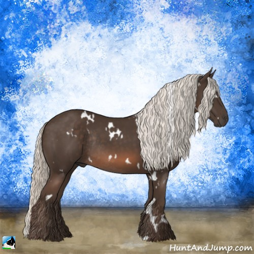 Horse Color:White Spotted Liver Chestnut Mushroom Rabicano 
