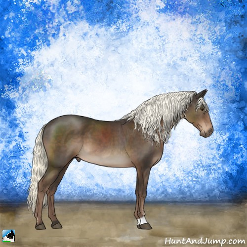 Horse Color:Liver Chestnut Mushroom Sabino 