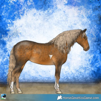 Horse Color:Chocolate Palomino Mushroom Tobiano 
