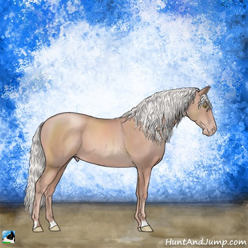 Horse Color:Gold Champagne Mushroom 