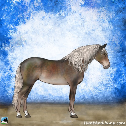 Horse Color:Liver Chestnut Mushroom Sabino 