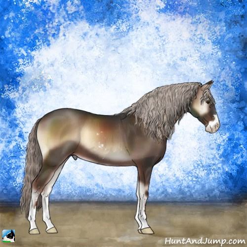 Horse Color:Liver Red Onyx Mushroom Sabino 