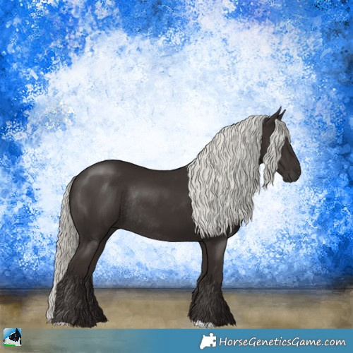 Horse Color:Liver Chestnut Mushroom Rabicano