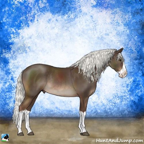 Horse Color:Liver Chestnut Mushroom Splash Rabicano 
