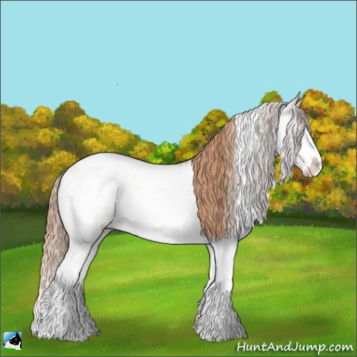 Horse Color:Gold Champagne Ice Pearl Onyx Sabino Splash Rabicano 
